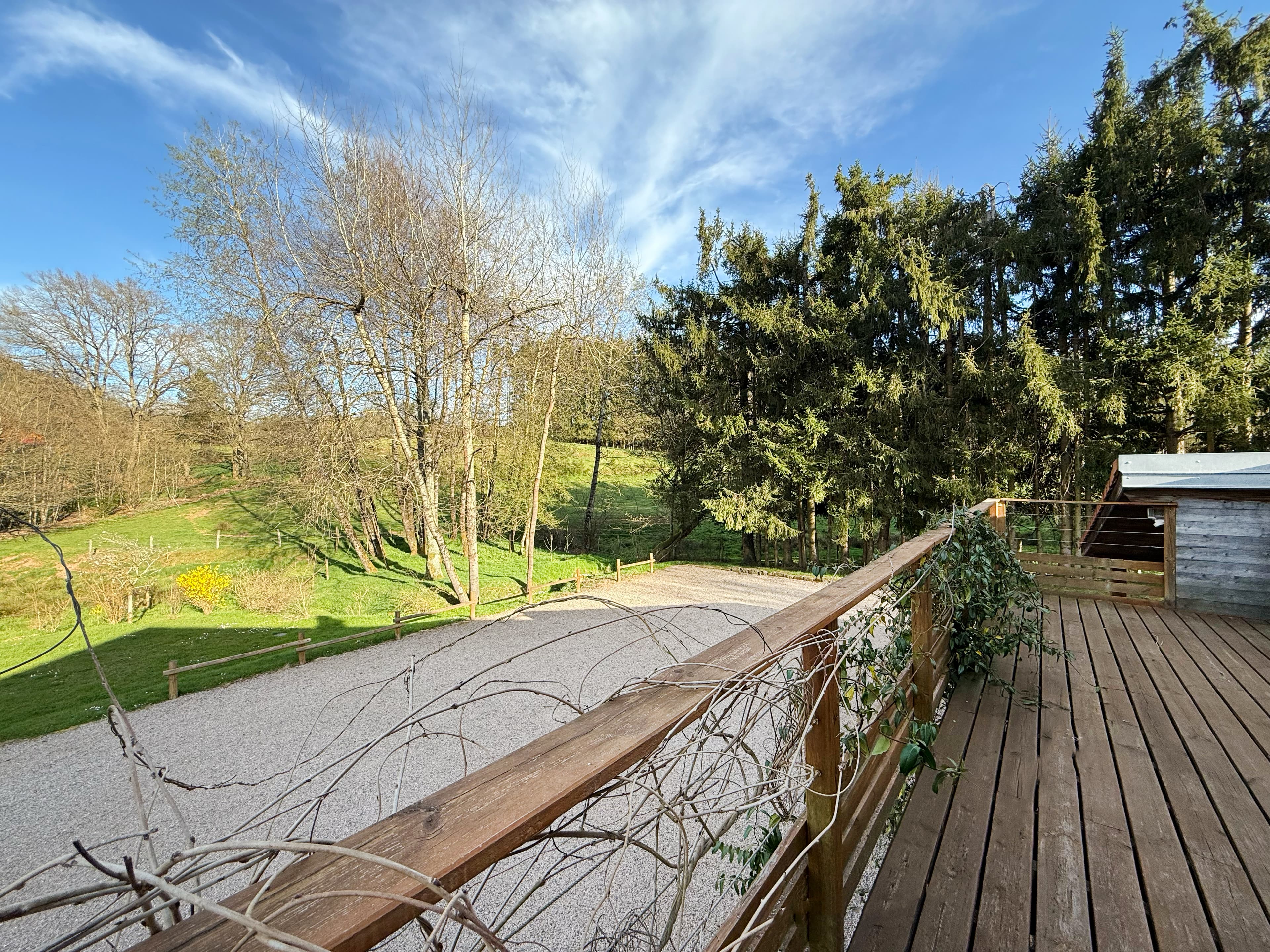 LES ROSEAUX/IMG_0095.jpg